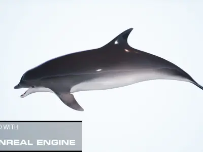 Realistic Dolphin unreal engine Low-poly 3D model