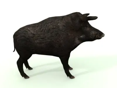 Wild Pig Low-poly 3D model