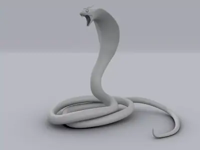 Cobra Snake 3D model buy