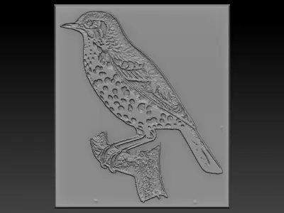 Birdd plastic plate with holes 3D print model purchase