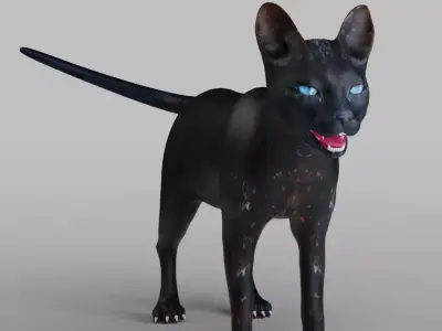 Cat Black Rigged in Blender Low-poly 3D model