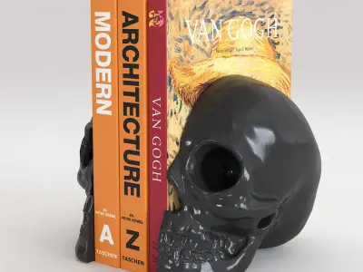 Skulls silver skull 3D model