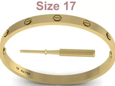 Love Bracelet - Size 17 3D print model