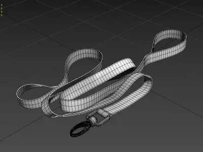 Pet Leash M01 Low-poly 3D model