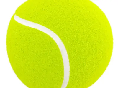 Tenis Ball 3D model buy