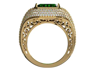 Ring 0209 3D print model