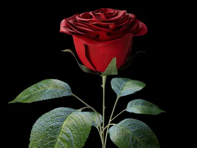 Red Rose 3D model purchase