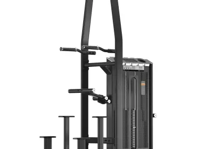 E-7009A DipChin Assist 3D model