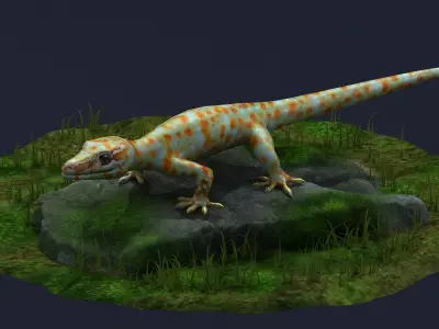 gecko animal lizard reptile stylized cartoon creature cute 3D model