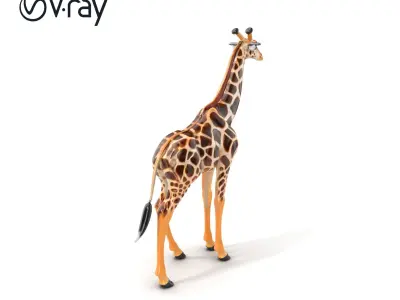 South African Giraffe Realistic Texture model pack Low-poly 3D model