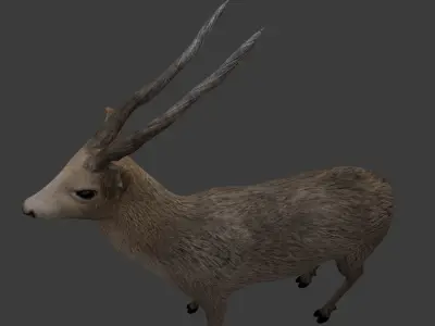 Next Gen AAA Royal Deer - Rigged Low-poly 3D model