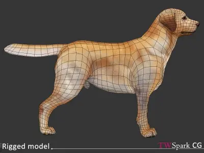 Low poly Labrador Dog Model Rigged Low-poly 3D model