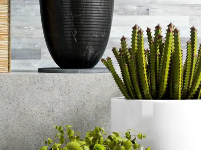 Decorative plant set-67 3D model