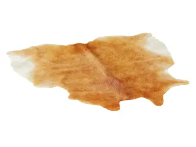 Cowhide light brown area rug 3D model