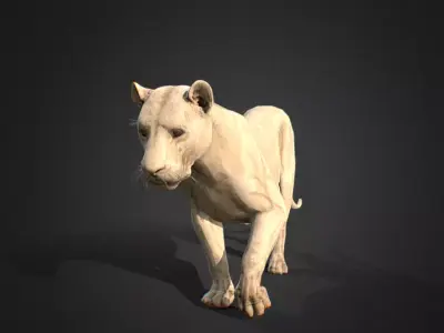 lion walking animation 3D model