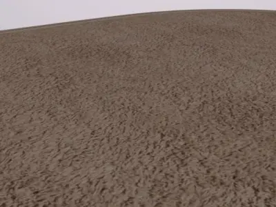 Apartment Rug Low-poly 3D model