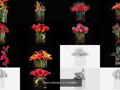 Plant collection 3 tropical arrangement in glass vase