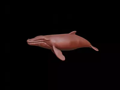 Whale Animal Sculpture 3D print model