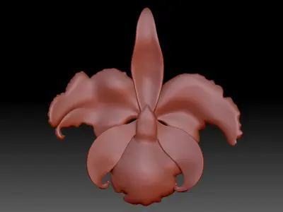 Orchid 3D print model