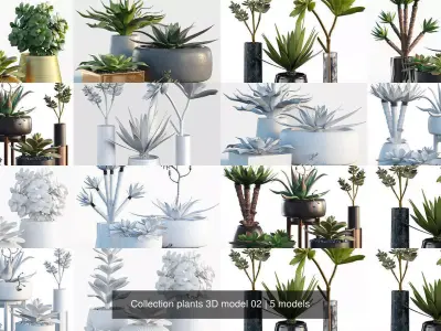 Collection plants 3D model 02