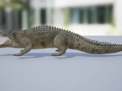 Saltwater Crocodile Low-poly 3D model