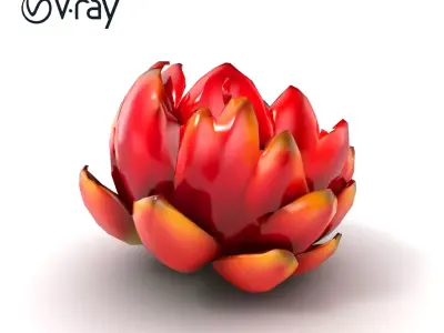 Purple Cornflower Flower Model Pack Low-poly 3D model