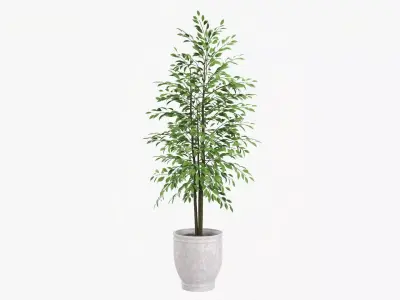 Decorative potted tree 02 3D model