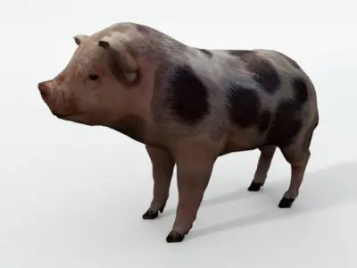 Mini Pig Low-poly 3D model