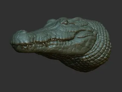 Crocodile bust 3D print model
