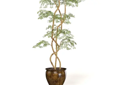 Tree in Metal Pot 3D Model 3D model
