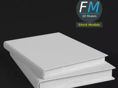 Books stack 2 3D model