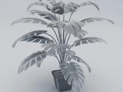 Monstera Leaves 3D Model Low-poly 3D model
