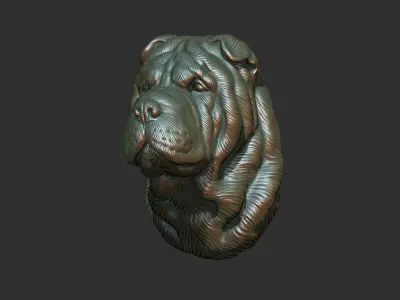 Shar Pei dog head 3D print model
