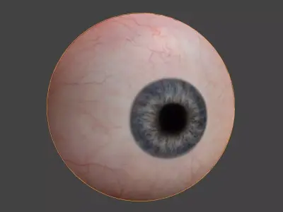 Human Eyes Game Ready for Unreal Ungine or Unity Low-poly 3D model