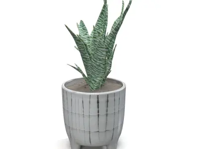 Terracotta Footed Planter with Artificial Plant  PBR 3D model