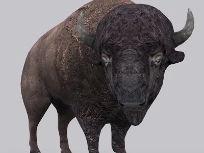 3DRT - Bison Low-poly 3D model