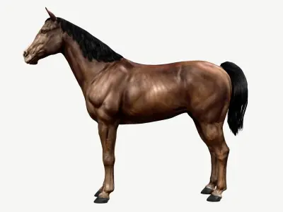 Horse Low-poly 3D model