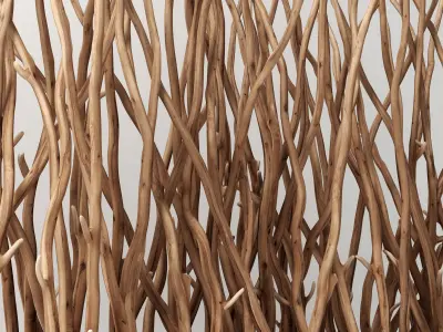 Branch folding screen decor n2  3D model