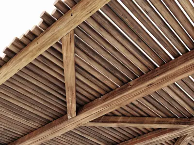 Ceiling diagonal branch straight n1 3D model