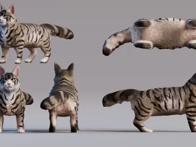 Low poly - Stylized cats - Maine Coon Cat Low-poly 3D model