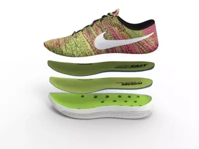 Nike Lunar Epic LowFlyknit 3D model