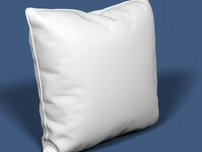 Pillow 42 3D model