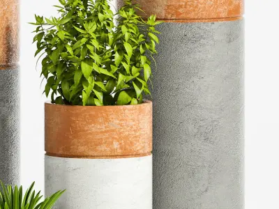 Decorative plant set-29 3D model