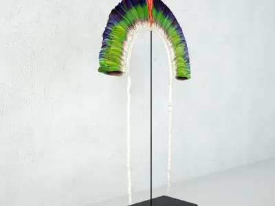 Juruna Tribe Feather Headdress 3D model