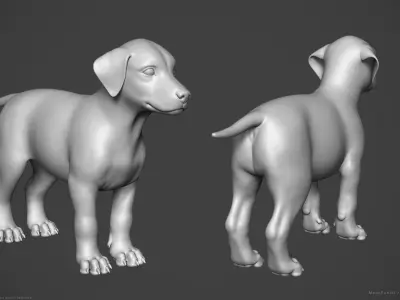 Dog Puppy - Highpoly Sculpture 3D model