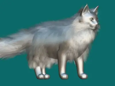 Maine Coon Cat 3D model