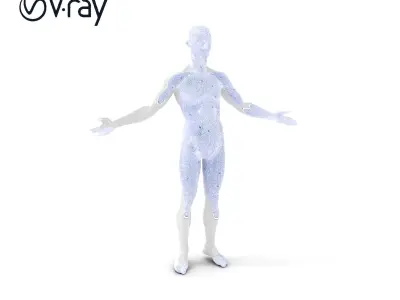 Stylized Human Male Figure with PBR Textures and Animation Co... Low-poly 3D model