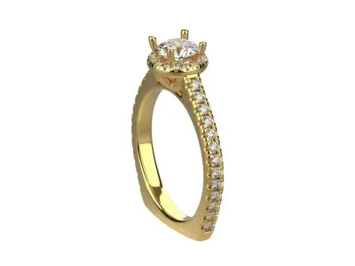 ring code  488 3D print model