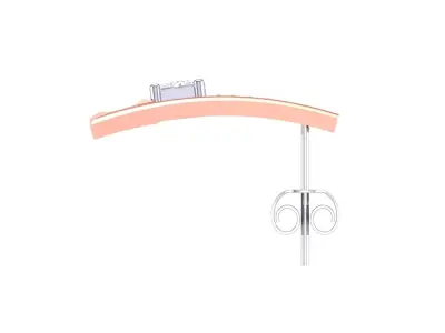 Women Stud Earrings STL OBJ FBX Renders Details 3D print model