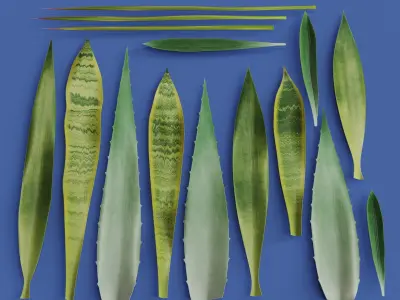 15 Leaves Atlas - 5 Species - PBR - 8K - SBSAR Low-poly 3D model